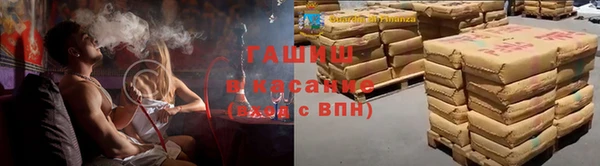 ГАЛЛЮЦИНОГЕННЫЕ ГРИБЫ Ельня