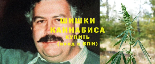 ГАЛЛЮЦИНОГЕННЫЕ ГРИБЫ Ельня