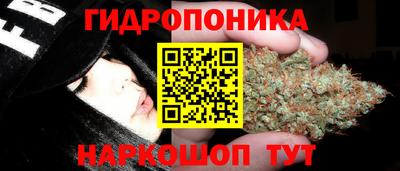 метадон Заводоуковск