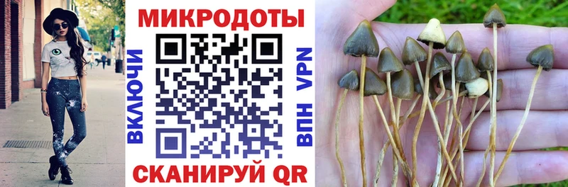 Псилоцибиновые грибы прущие грибы Сальск