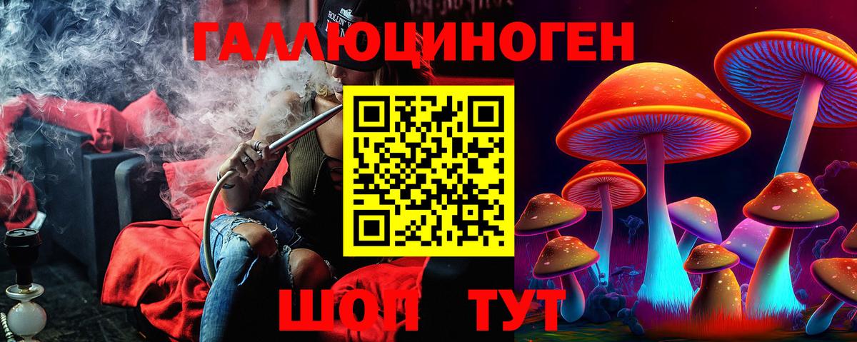 Псилоцибиновые грибы прущие грибы  Вход с VPN  Сальск 