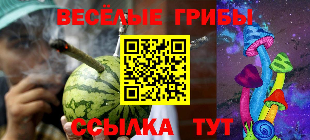 Галлюциногенные грибы GOLDEN TEACHER Сальск